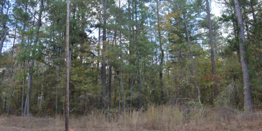 Lot on Connor Rd, Kosciusko, MS 39090