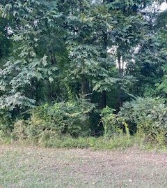 318 West Jefferson Street Kosciusko, Ms. 39090