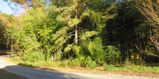 2281 Attala Rd 1201 Kosciusko, Ms.  39090