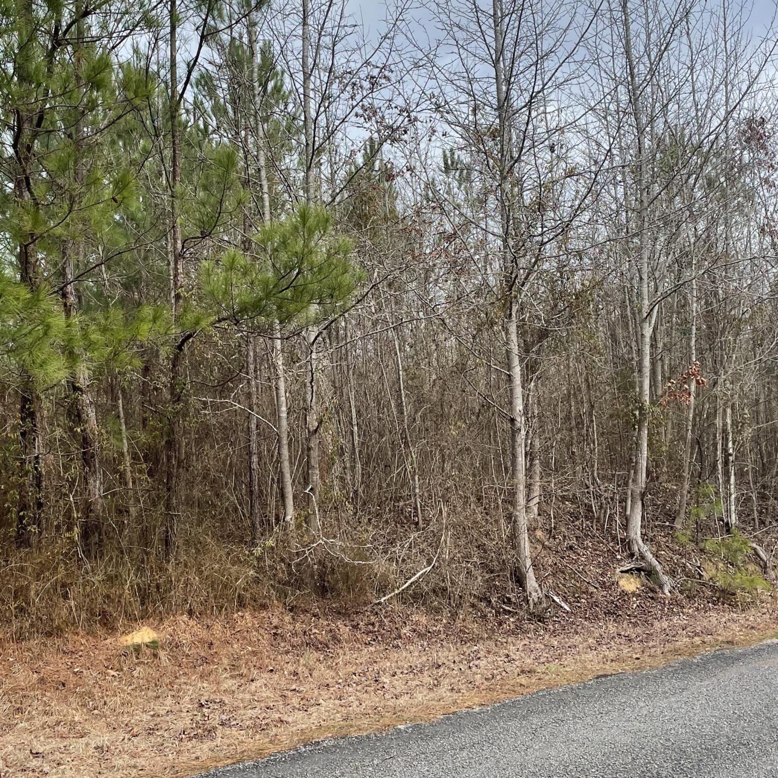 Attala Rd 3122 French Camp, Ms. 39745 Adams Realty Kosciusko