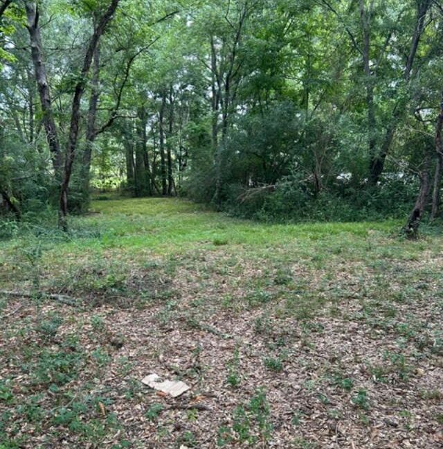 thumbnail (14)